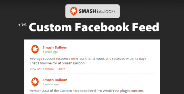 Custom Facebook Feed Pro Smash (1).png