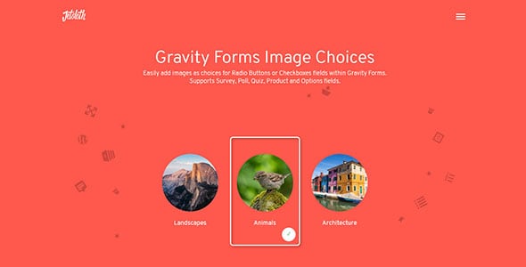 Gravity Forms Image Choices Add-On.jpg