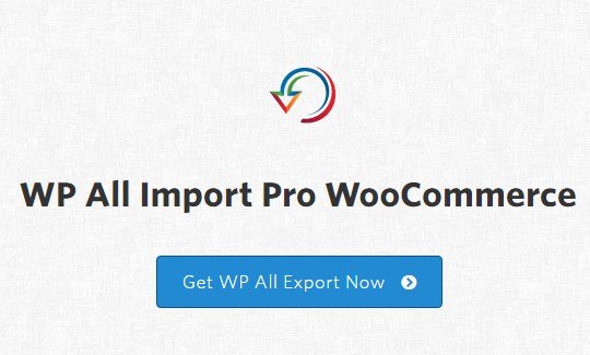 WP All Import Pro WooCommerce-WwW-Blackvol-CoM.jpg