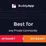BuddyApp - Mobile First Community WordPress Theme