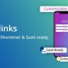 66biolinks - Instagram & TikTok Bio Links & URL Shortener (SAAS Ready) Regular