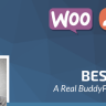 Besocial - BuddyPress Social Network & Community WordPress Theme Untouched